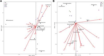 Response of Soil Fertility and Bacterial Community Composition to Vegetation Species in a Coal Mining Subsidence Area: A Survey After 20-Year Reclamation